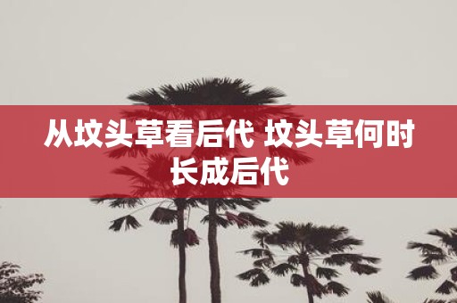 从坟头草看后代 坟头草何时长成后代