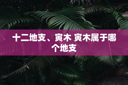 十二地支、寅木 寅木属于哪个地支