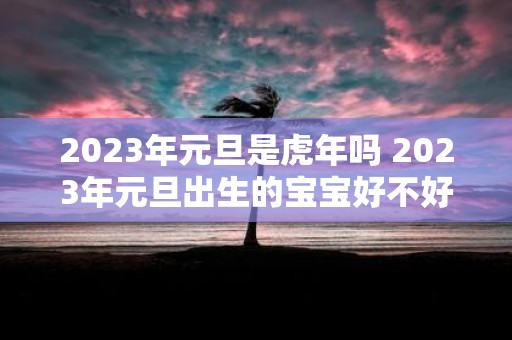 2025年元旦是虎年吗 2025年元旦出生的宝宝好不好