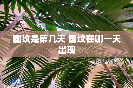 圆坟是第几天 圆坟在哪一天出现