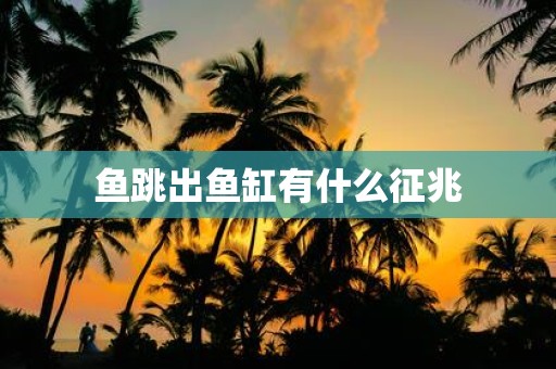 鱼跳出鱼缸有什么征兆