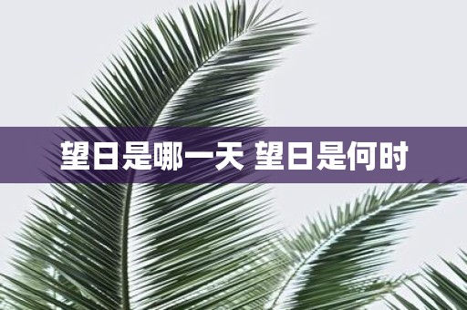 望日是哪一天 望日是何时