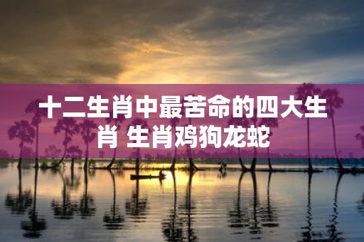 十二生肖中最苦命的四大生肖 生肖鸡狗龙蛇
