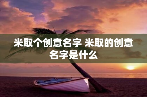 米取个创意名字 米取的创意名字是什么