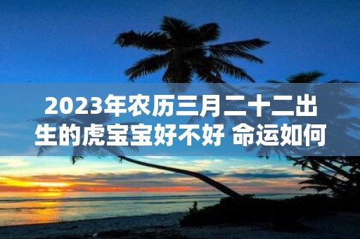 2025年农历三月二十二出生的虎宝宝好不好 命运如何