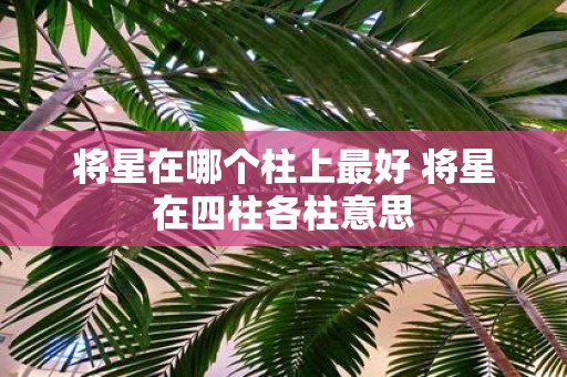 将星在哪个柱上最好 将星在四柱各柱意思