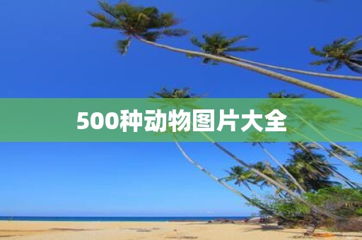 500种动物图片大全