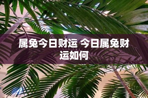 属兔今日财运 今日属兔财运如何