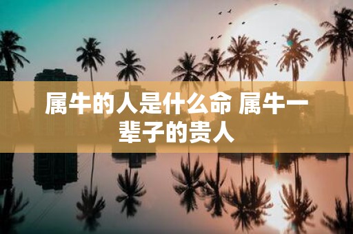 属牛的人是什么命 属牛一辈子的贵人