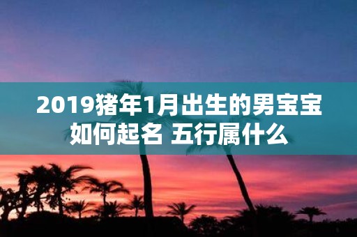 2019猪年1月出生的男宝宝如何起名 五行属什么