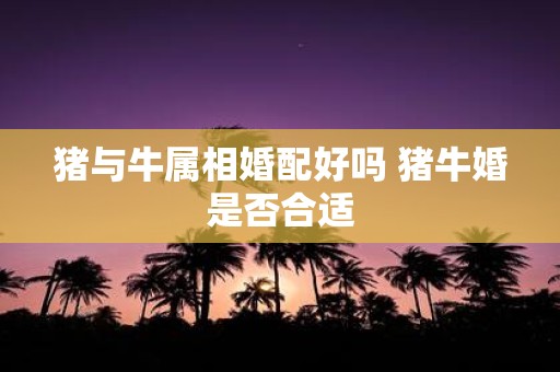 猪与牛属相婚配好吗 猪牛婚是否合适