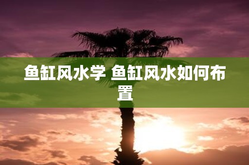 鱼缸风水学 鱼缸风水如何布置