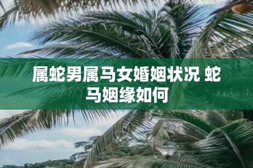 属蛇男属马女婚姻状况 蛇马姻缘如何