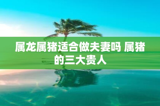 属龙属猪适合做夫妻吗 属猪的三大贵人