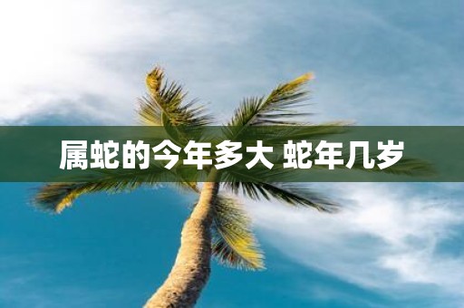 属蛇的今年多大 蛇年几岁