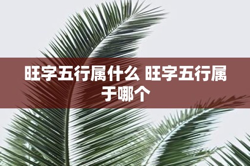 旺字五行属什么 旺字五行属于哪个