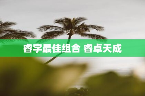 睿字最佳组合 睿卓天成