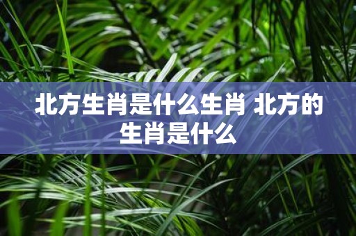 北方生肖是什么生肖 北方的生肖是什么