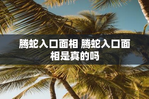 腾蛇入口面相 腾蛇入口面相是真的吗
