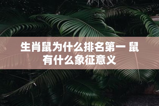 生肖鼠为什么排名第一 鼠有什么象征意义