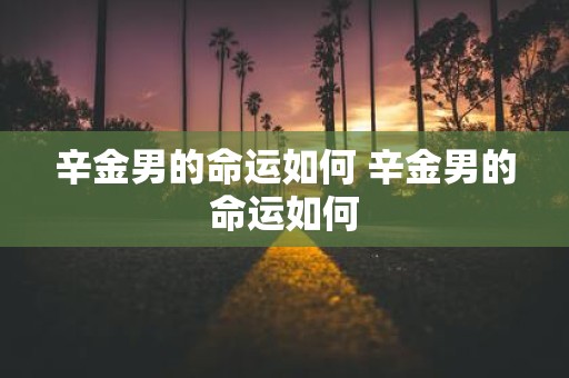 辛金男的命运如何 辛金男的命运如何