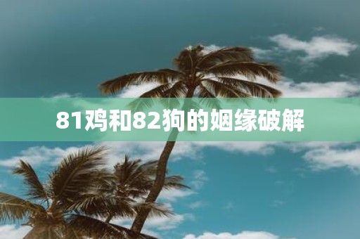 81鸡和82狗的姻缘破解