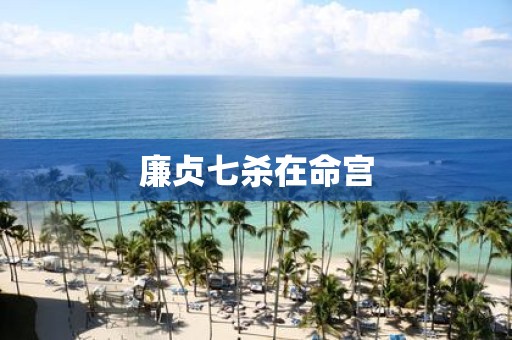 廉贞七杀在命宫