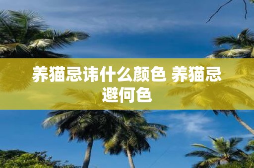 养猫忌讳什么颜色 养猫忌避何色