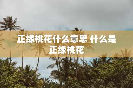 正缘桃花什么意思 什么是正缘桃花