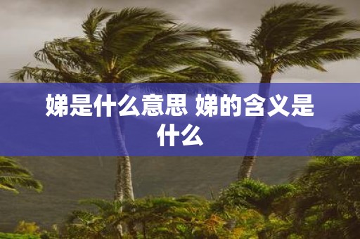 娣是什么意思 娣的含义是什么