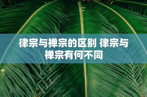 律宗与禅宗的区别 律宗与禅宗有何不同