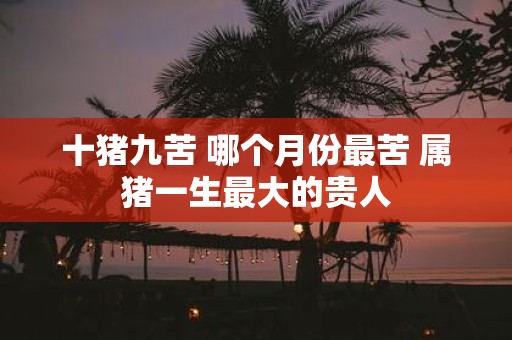 十猪九苦 哪个月份最苦 属猪一生最大的贵人