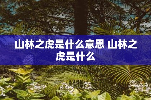 山林之虎是什么意思 山林之虎是什么