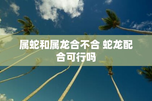 属蛇和属龙合不合 蛇龙配合可行吗
