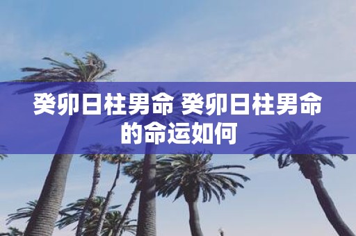 癸卯日柱男命 癸卯日柱男命的命运如何