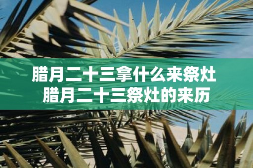 腊月二十三拿什么来祭灶 腊月二十三祭灶的来历