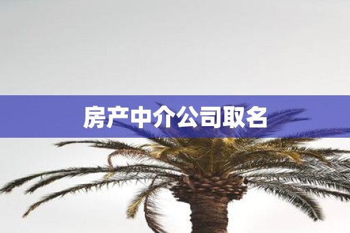 房产中介公司取名