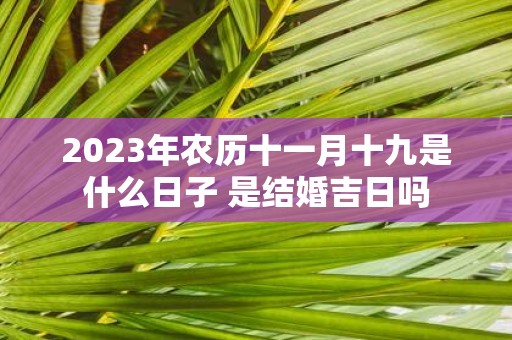 2025年农历十一月十九是什么日子 是结婚吉日吗