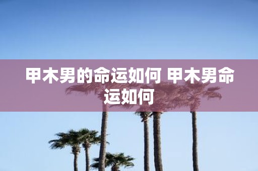 甲木男的命运如何 甲木男命运如何