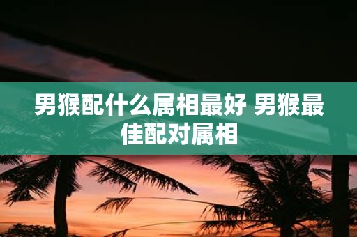 男猴配什么属相最好 男猴最佳配对属相