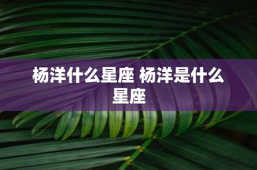 杨洋什么星座 杨洋是什么星座