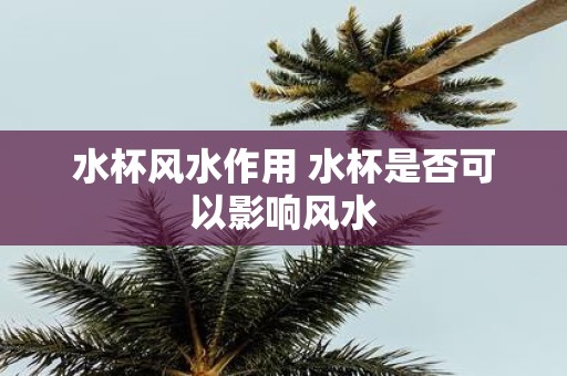 水杯风水作用 水杯是否可以影响风水
