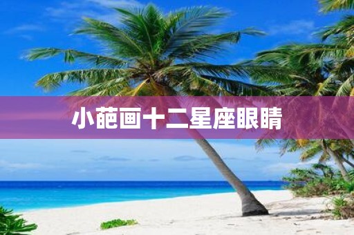 小葩画十二星座眼睛