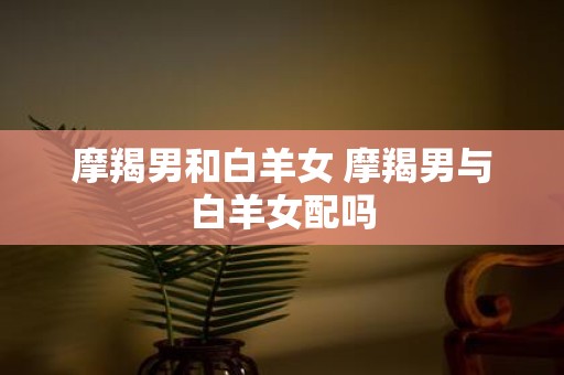 摩羯男和白羊女 摩羯男与白羊女配吗
