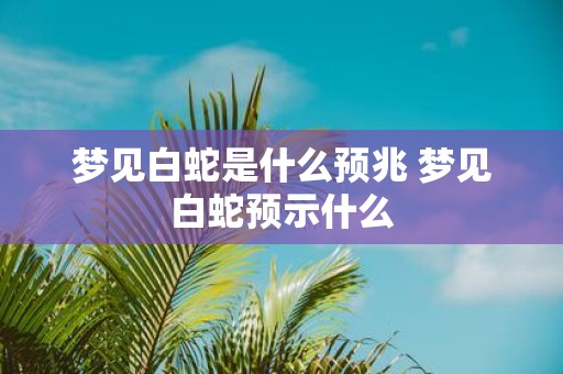 梦见白蛇是什么预兆 梦见白蛇预示什么