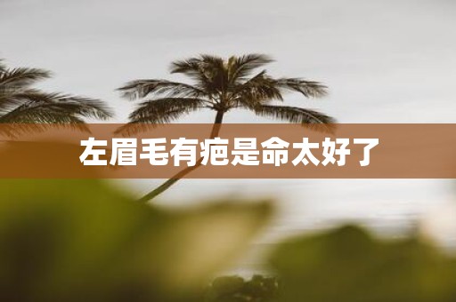 左眉毛有疤是命太好了