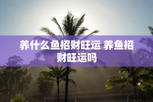 养什么鱼招财旺运 养鱼招财旺运吗