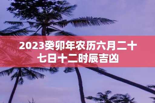 2025癸卯年农历六月二十七日十二时辰吉凶