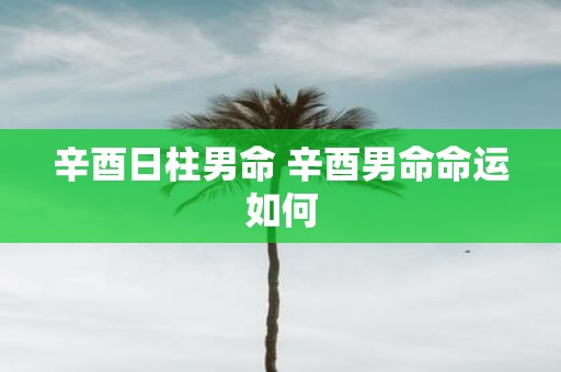 辛酉日柱男命 辛酉男命命运如何