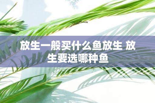 放生一般买什么鱼放生 放生要选哪种鱼